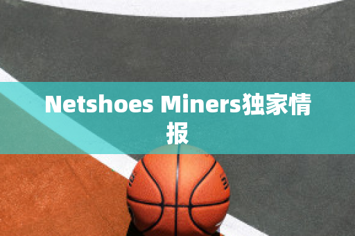 Netshoes Miners独家情报